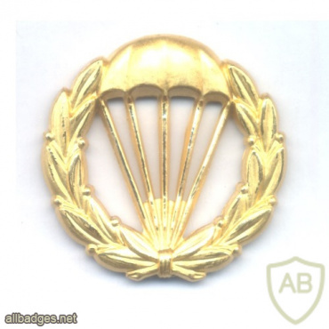 SWEDEN Army M/1952 Paratrooper beret badge img61599