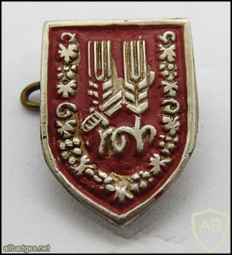 10th Harel Brigade img61621