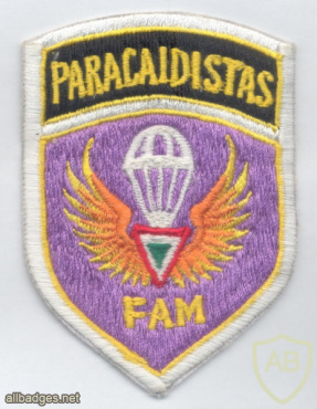 MEXICO Air Force Paratroopers Brigade sleeve patch, 1990s img61607