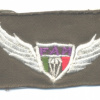 MEXICO Army parachutist jump wings, cloth, 1980s-1990s