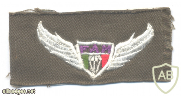 MEXICO Army parachutist jump wings, cloth, 1980s-1990s img61606