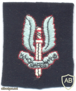 SAS beret badge, cloth img61813