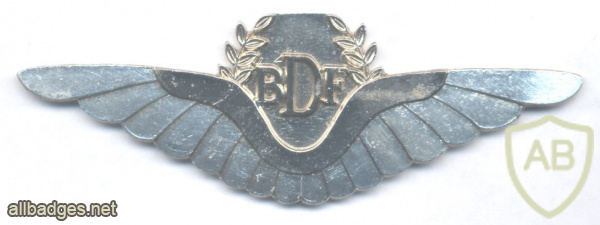 BOTSWANA Defence Force Air Wing pilot qualification wings img61972