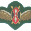כנפי טייס של חיל האוויר של קניה