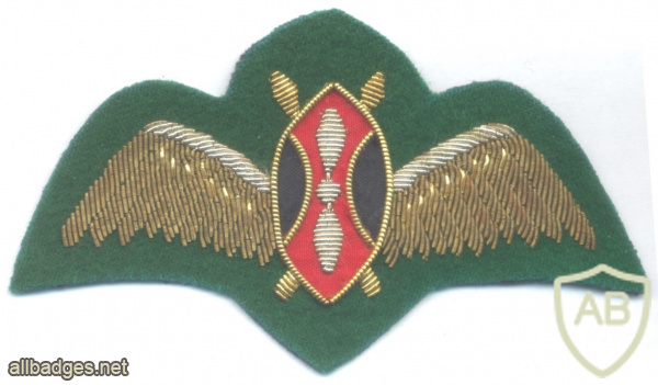 KENYA Air Force pilot wings img61970