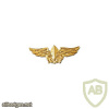 Basic intelligence course / A commander who is not a officer array - Golden