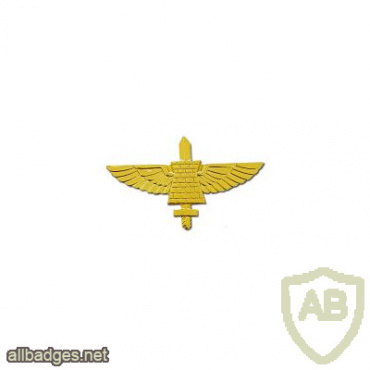 Sapper Paratroopers - Golden img62353