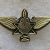 Unidentified badge- 26