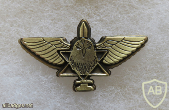 Unidentified badge- 26 img62407
