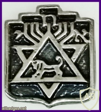 איגוד החיילים המשוחררים בישראל  ( מהצבא הבריטי במלחמת העולם השנייה ) img62553