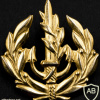 סמל כובע חיל הים img62469