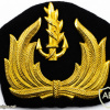סמל כובע קצין חיל הים 1955-1970 img62467