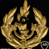 סמל כובע חיל הים img62470