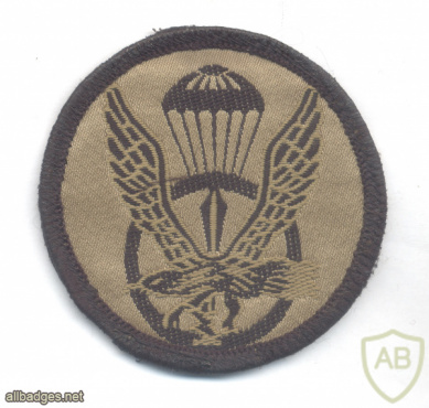 SOUTH KOREA Army Special Warfare Command (ROK-SWC) patch, subdued img62629