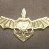 Coastal Squadron - Palmachim air force base golden