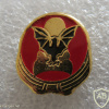 The Bat Squadron - 119th Squadron img62756
