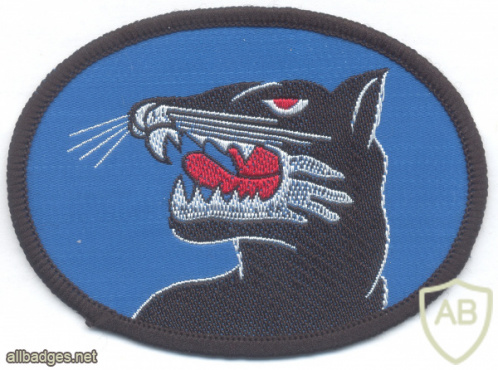 SOUTH KOREA Army 13th Special Mission Brigade "Black Panther" patch img62784