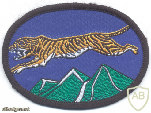 SOUTH KOREA Army 3rd Special Forces Brigade "Flying Tiger" patch img62783