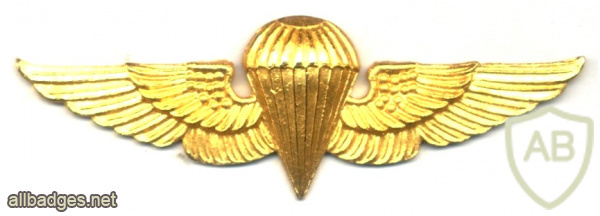 HONDURAS Army Parachute jump wings, Basic, metal img62787