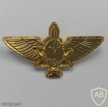 Unidentified badge- 26 img62834