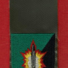 601st Assaf battalion img62858