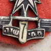 Unidentified badge- 66 img62936