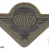 FRANCE Army Parachutist qualification badge, subdued