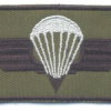 ESTONIA Parachutist jump wings, II Class (silver)