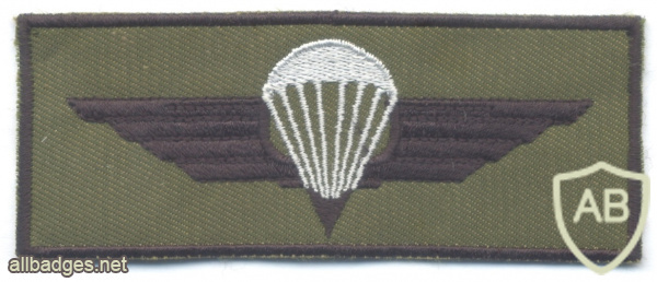 ESTONIA Parachutist jump wings, II Class (silver) img62947