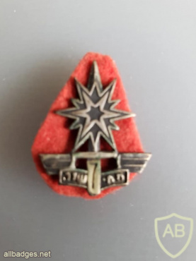 Unidentified badge- 66 img62937