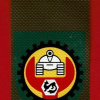 Arava Spatial Armament Unit- 674