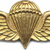DOMINICAN REP. Army Parachutist jump wings