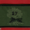 ביסלמ"ח ( בית הספר למפקדי כיתות ומקצועות חיל הרגלים ) - חטיבה- 828 גדוד- 17