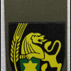 274th Brigade - Jerusalem formation
