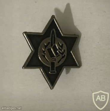 Unidentified badge- 52 img63375