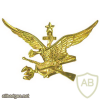 Bolivia Navy amphibious beret badge