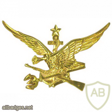 Bolivia Navy amphibious beret badge img63600