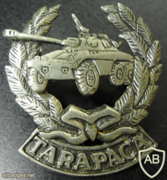 Bolivia Tarapaca Armored Division img63602