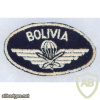 Bolivian Army Airborne - Parachutists Patch img63730