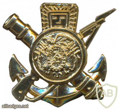 Bolivia Beret Badge img63725