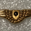Pilot wings - Golden img63716