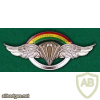Bolivia Army paratrooper badge