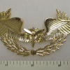 BOLIVIAN AIR FORCE TECHNICAL OFFICER CAP BADGE