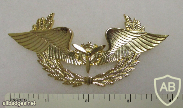 BOLIVIAN AIR FORCE TECHNICAL OFFICER CAP BADGE img63811