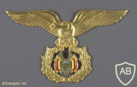 Bolivian Air Force cap badge img63810