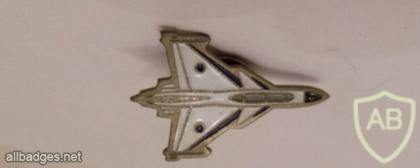 פרוייקט מטוס הלביא img63889