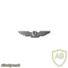 Hawk eye wings ( Air explorer ) img63928