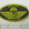 Bolivian Army Airborne - Parachutists Patch img63968
