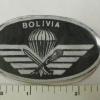 Bolivian Army Airborne - Parachutists Patch img63969