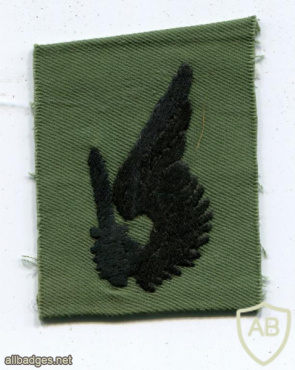 ARVN Jump Status badge img63984